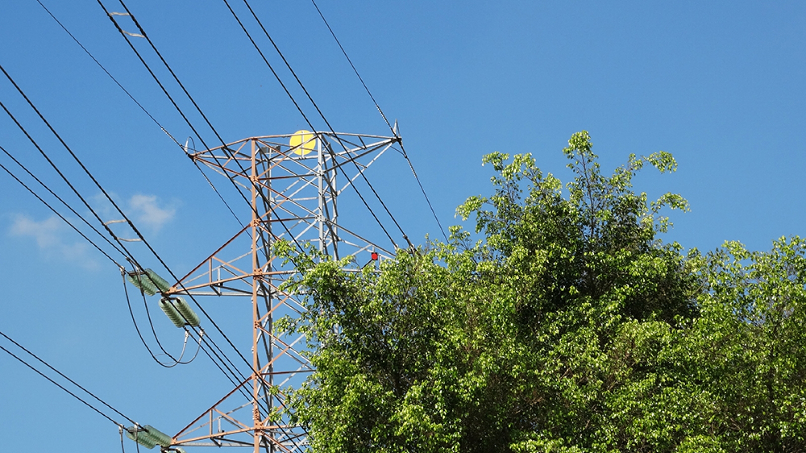 transmission tower with a tree in the foreground