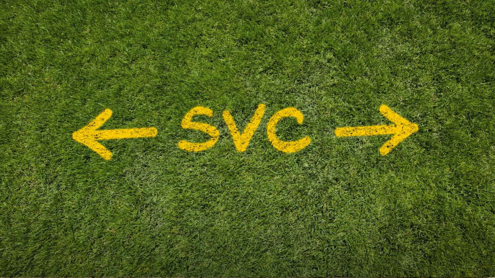 arrows with "SVC" spray painted in yellow on grass