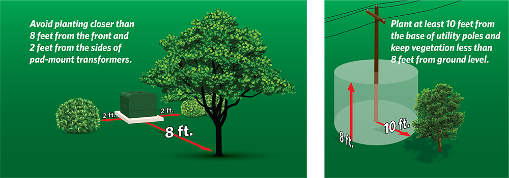 graphic showing distance to plant from pad transformers and utility poles