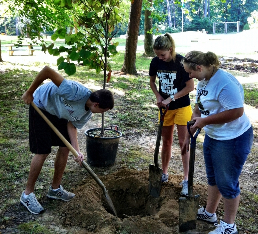 Teenagers planting a tree in Bernheim's Garden Pavillion area. 