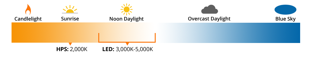 light color temperature chart with orange on left and blue on right