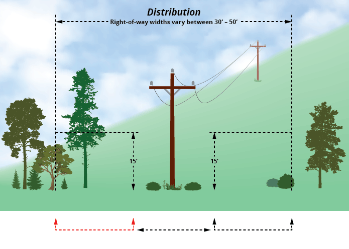 animation showing how far away to plant trees near distribution lines