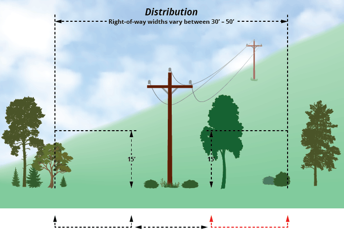 animation showing how far away to plant trees near distribution lines