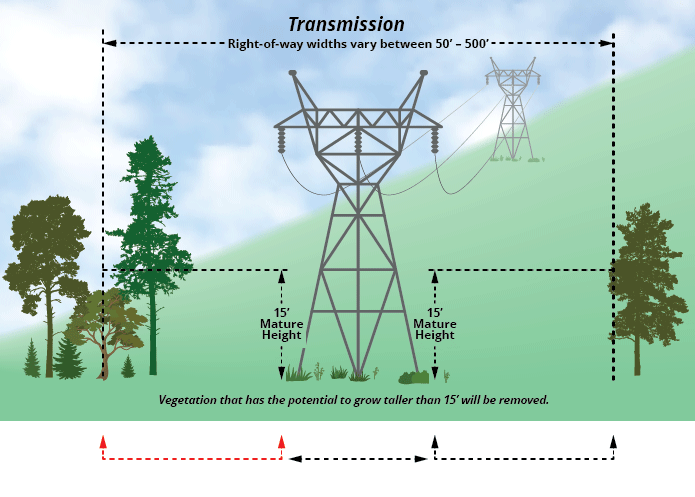 animation showing how far away to plant trees near a transmission line