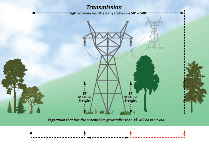 animation showing distances to plant trees near transmission lines