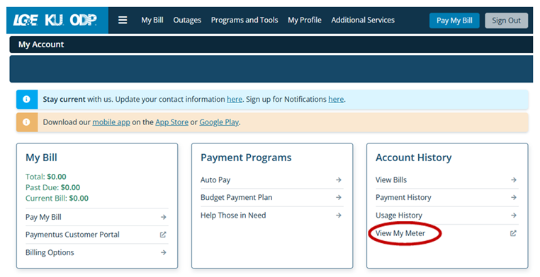 My Account home screen with View My Meter link