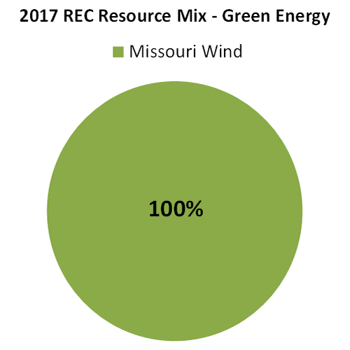 Pie chart of green energy resource mix - 100% wind