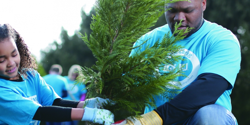 Planting trees
