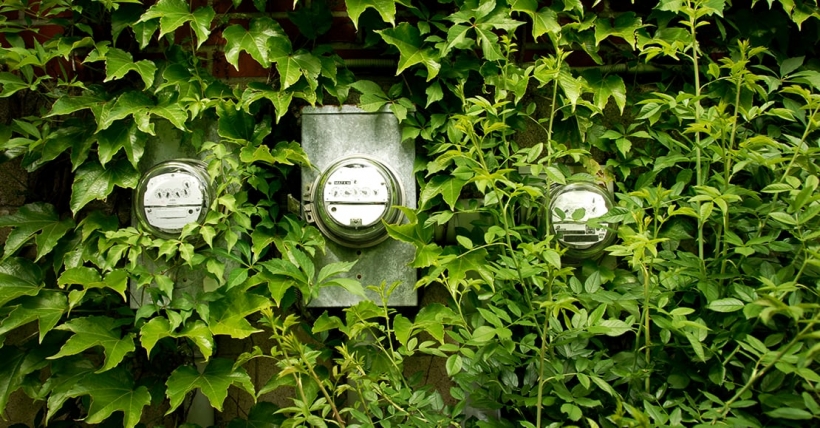 Meter behind bushes