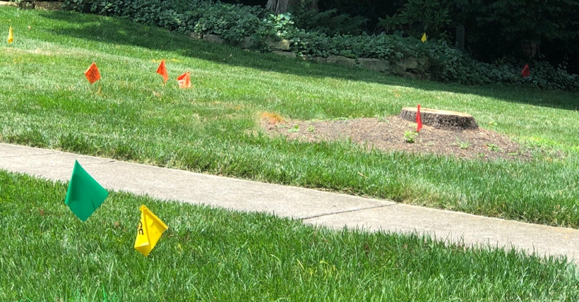 811 flags in the ground