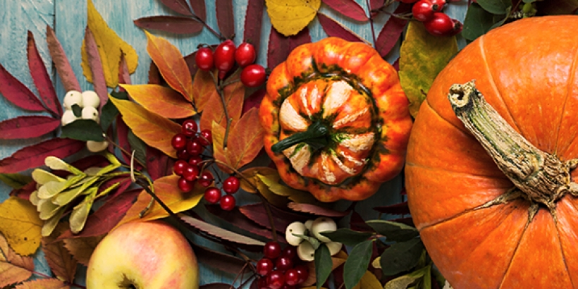 Thanksgiving imagery