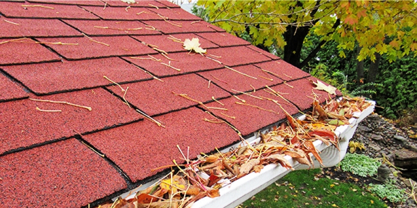 Leaves in a gutter