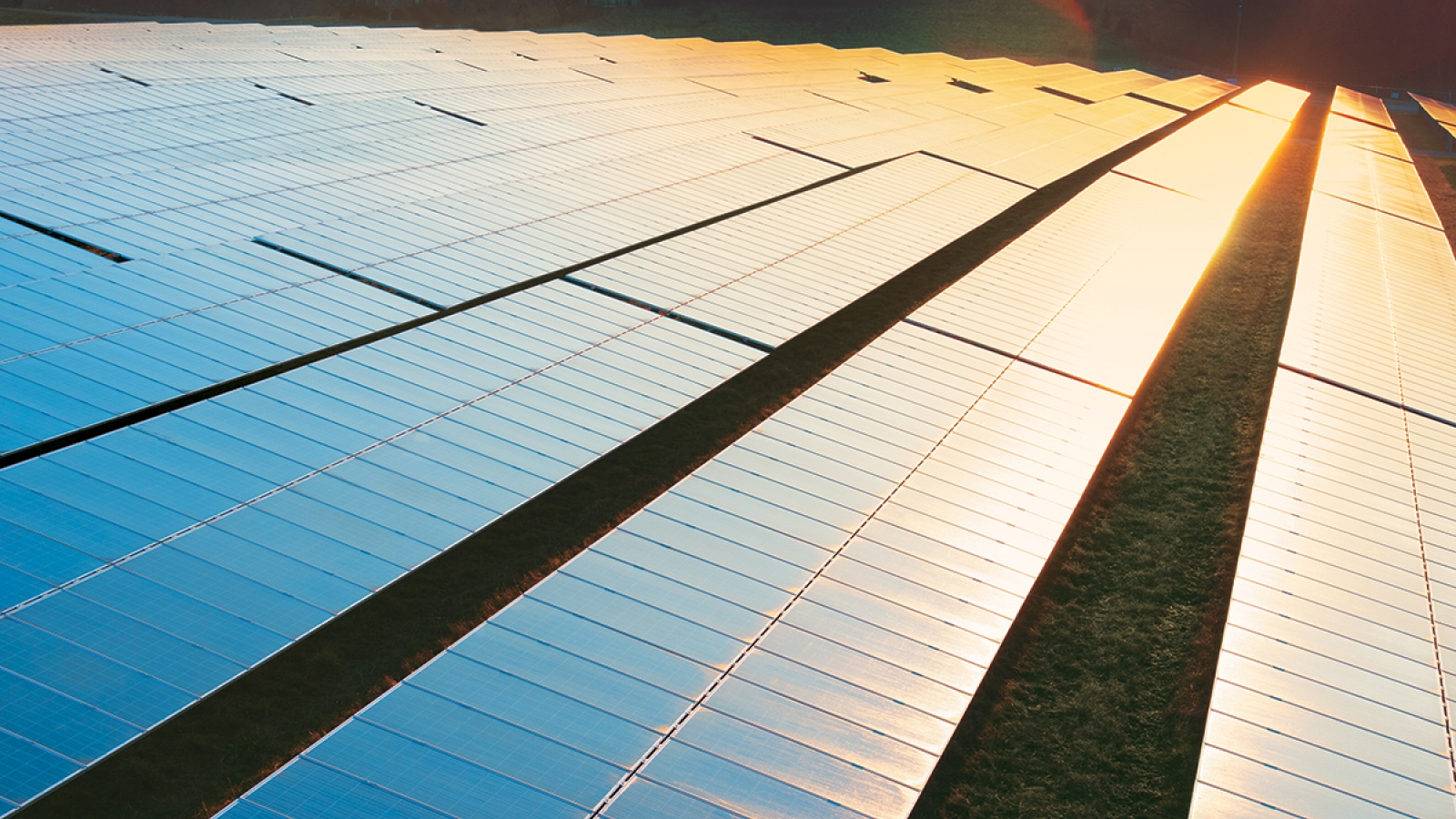 Solar field