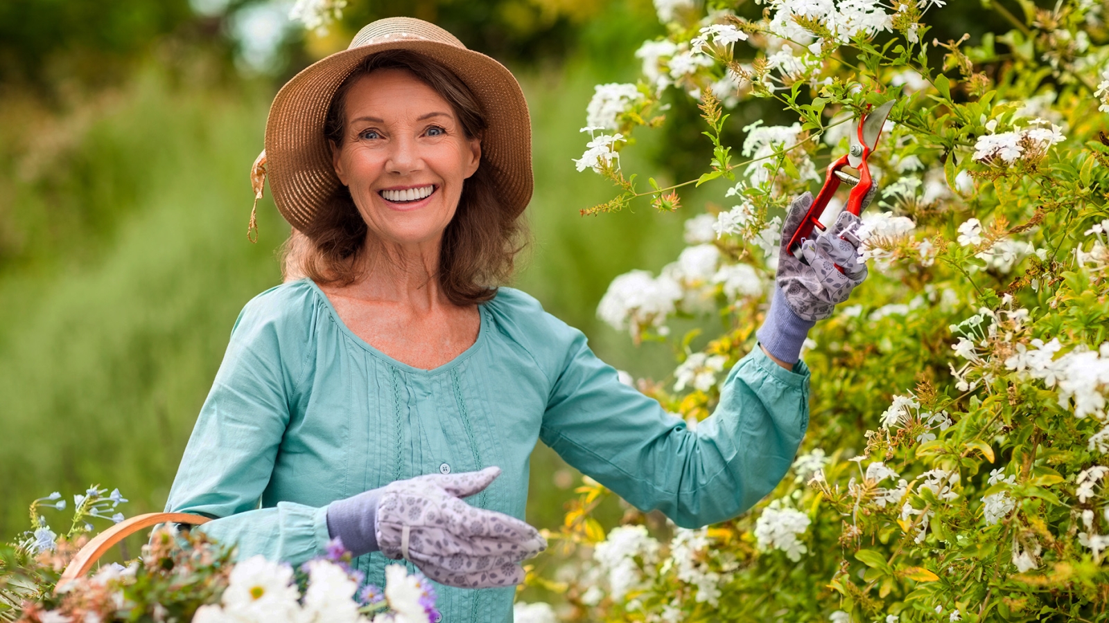 person pruning flowers in a garden