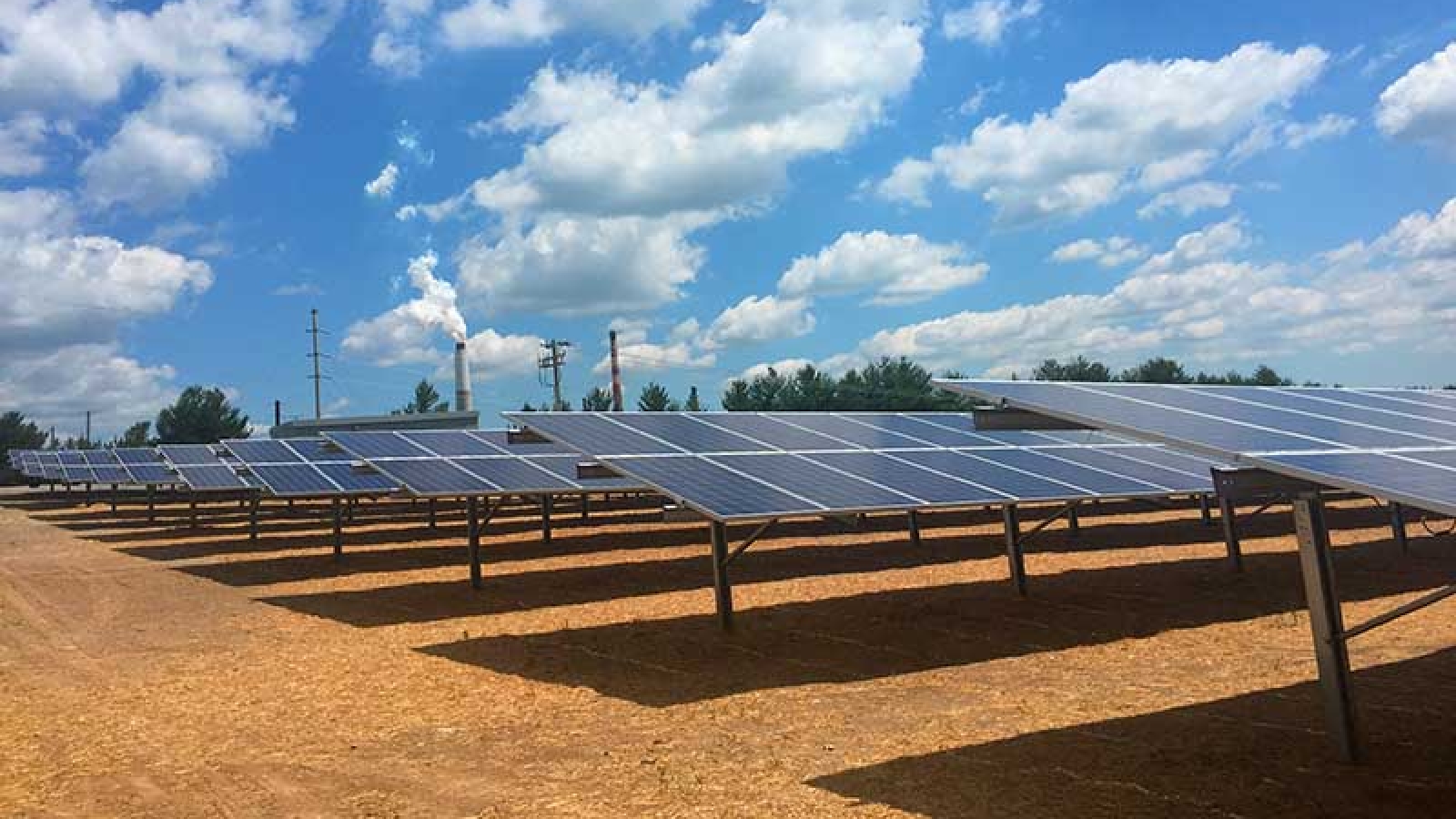 rows of solar panels at E.W. Brown Solar Facility