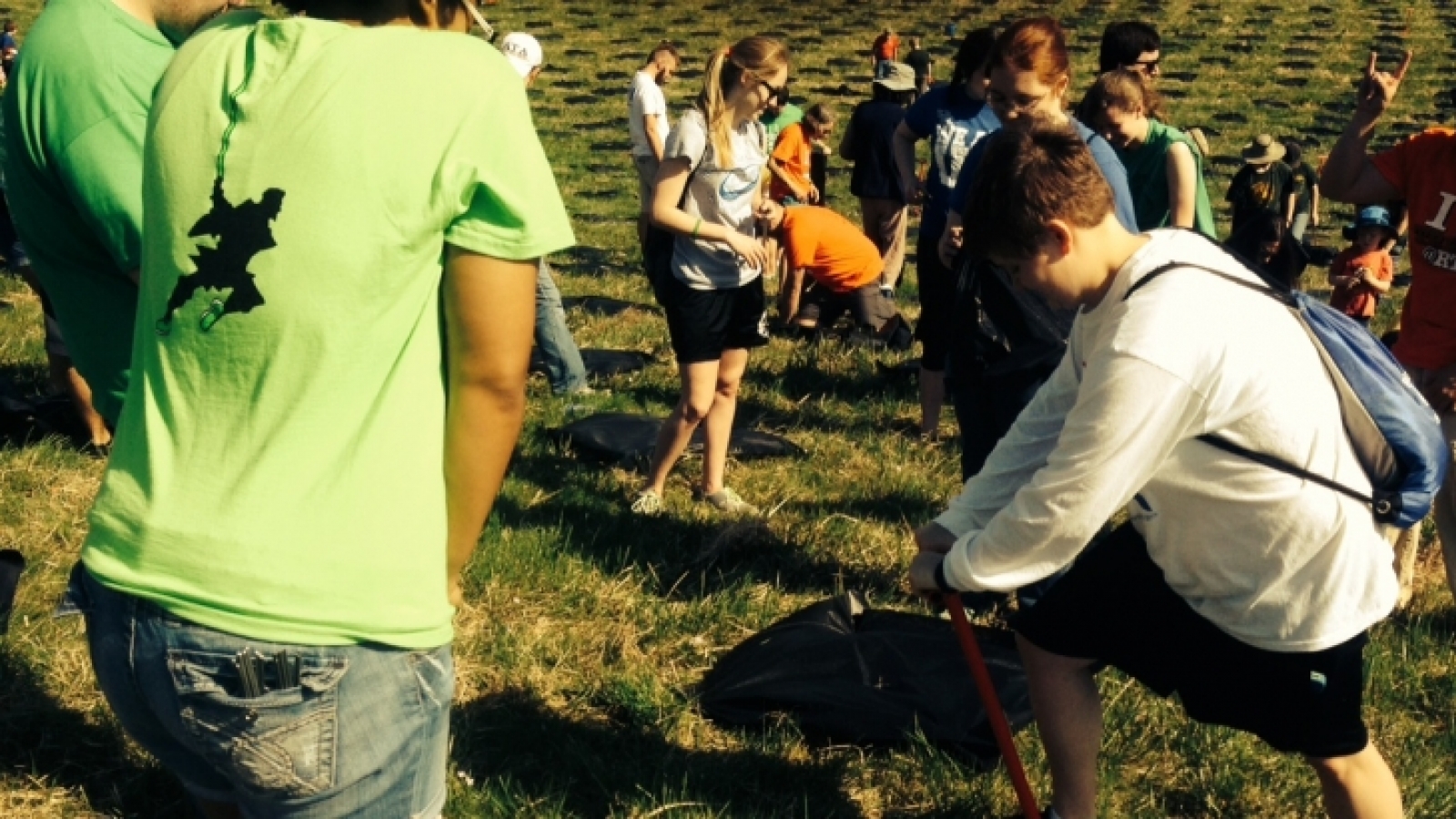 Volunteers planting tree seedlings