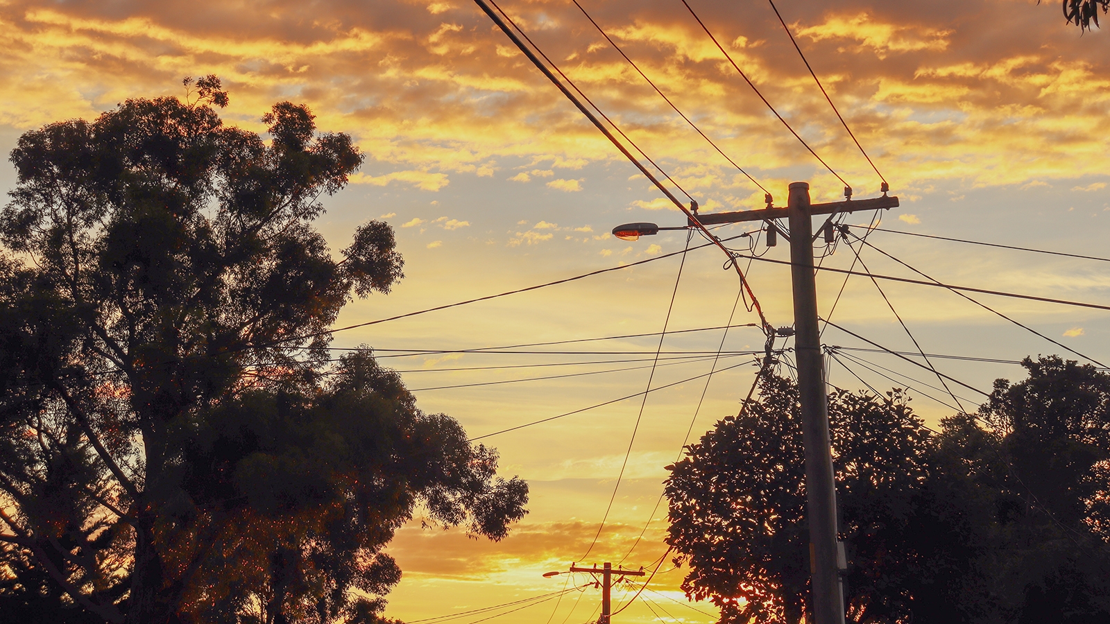 distribution pole and lines at sunset