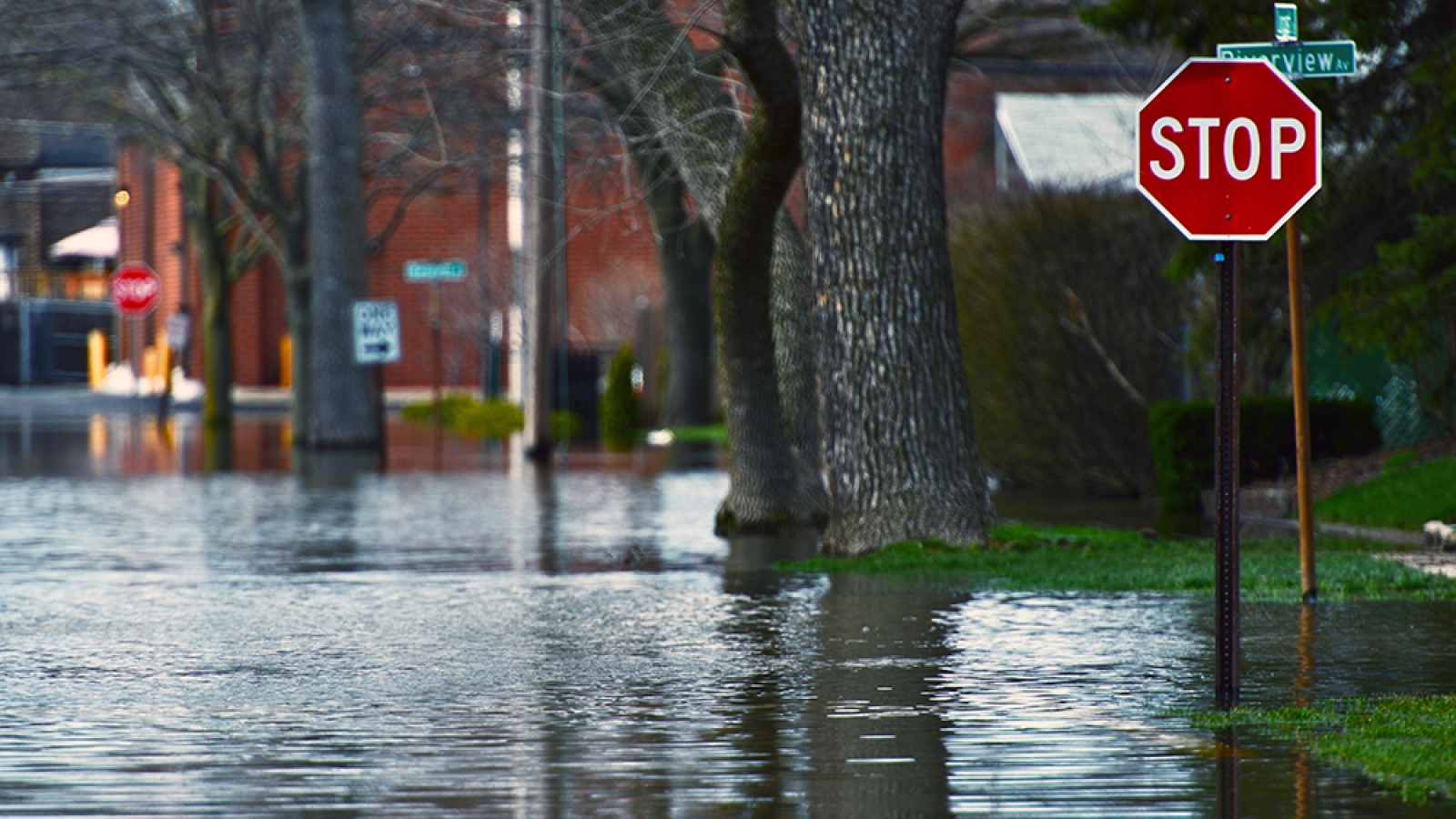 a flooded street with a stop sign in the foreground