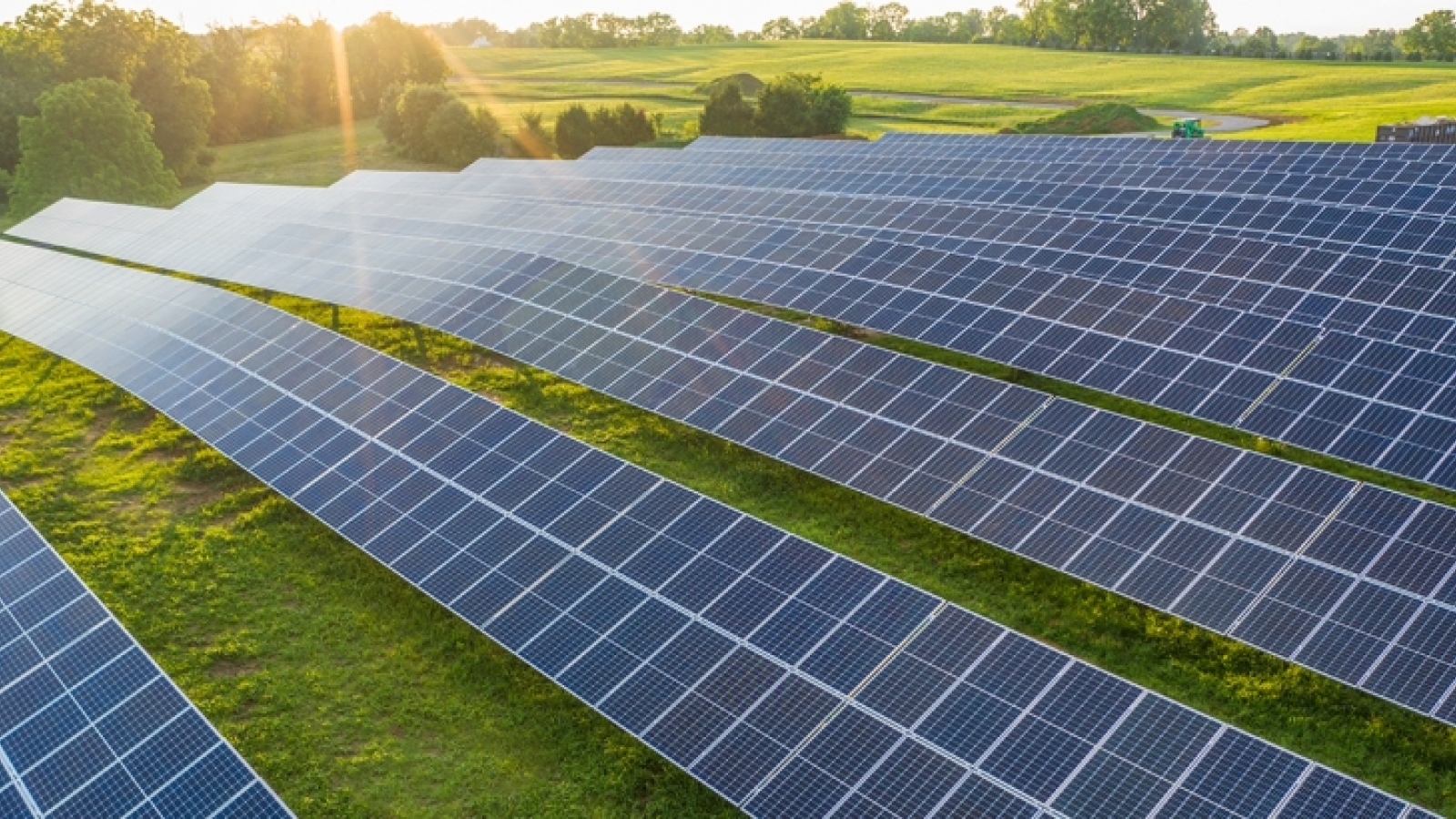A section of solar panels