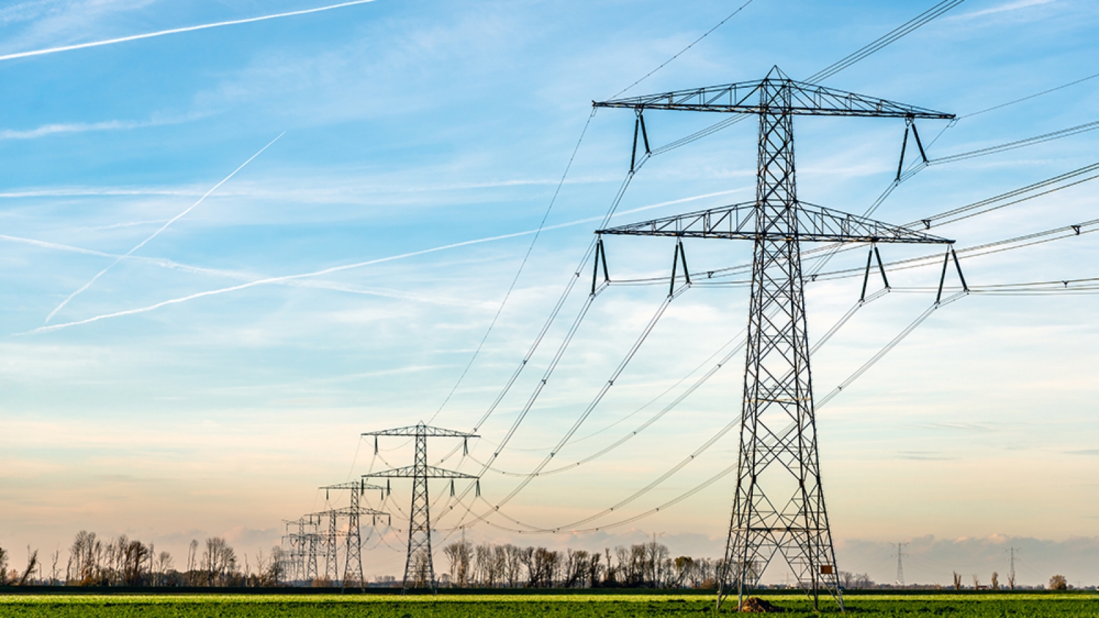 a line of transmission towers and lines stretching across farmland