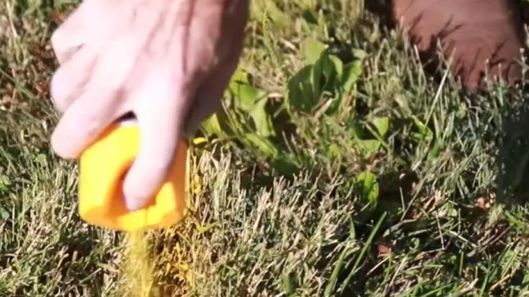 a hand spray painting lines in a yard