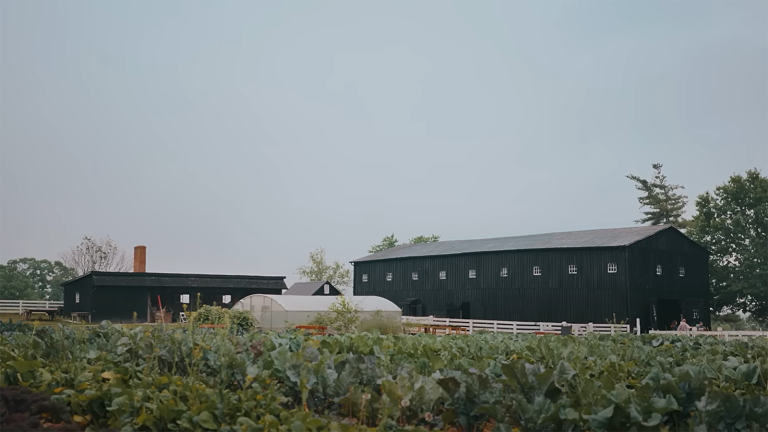 barns at a farm