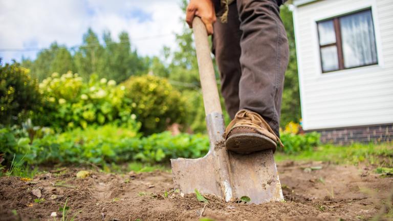 A person digging in the yard with a shovel in the foreground