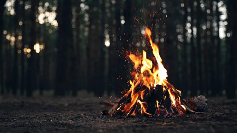campfire in a forest
