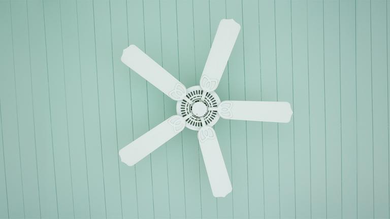 Ceiling fan