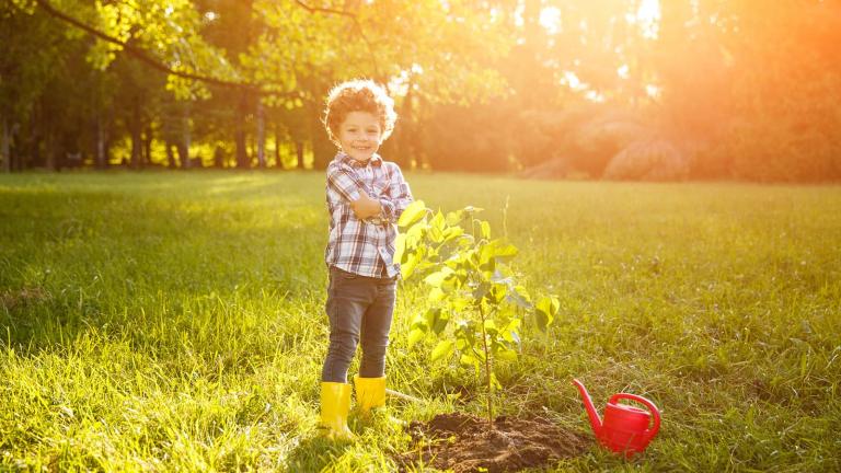 child next to small tree