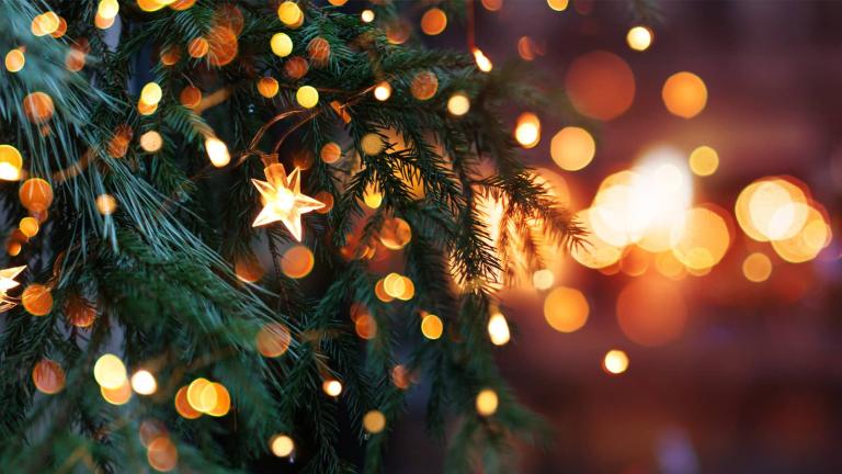 holiday lights on a tree