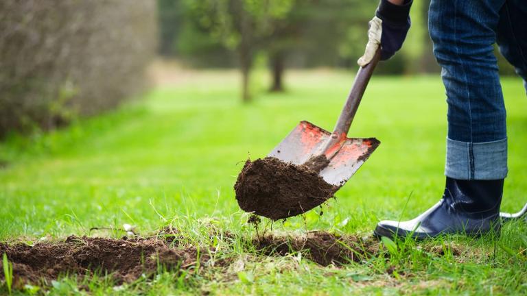 Person digging in the ground