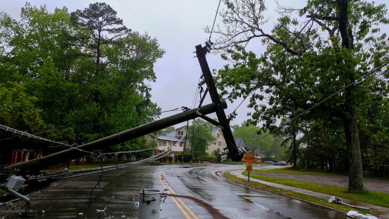 downed power pole and power line