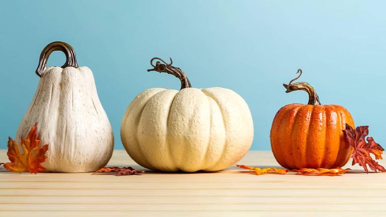three pumpkins on a table