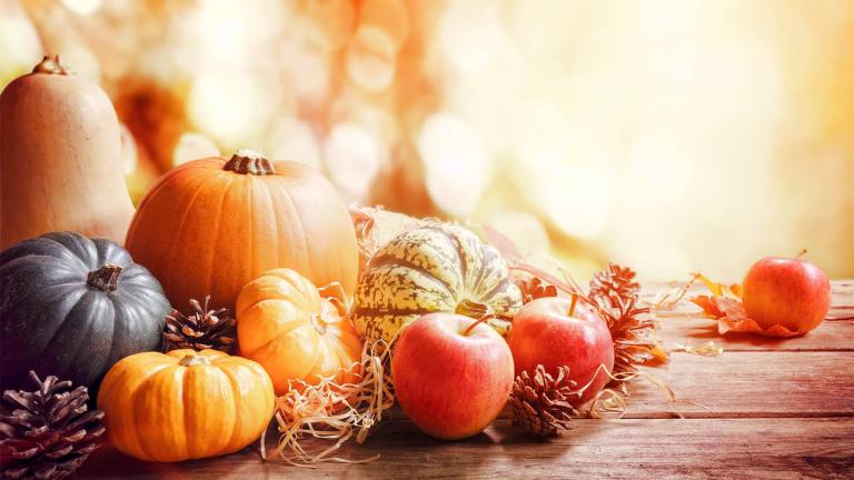 pumpkins on a table