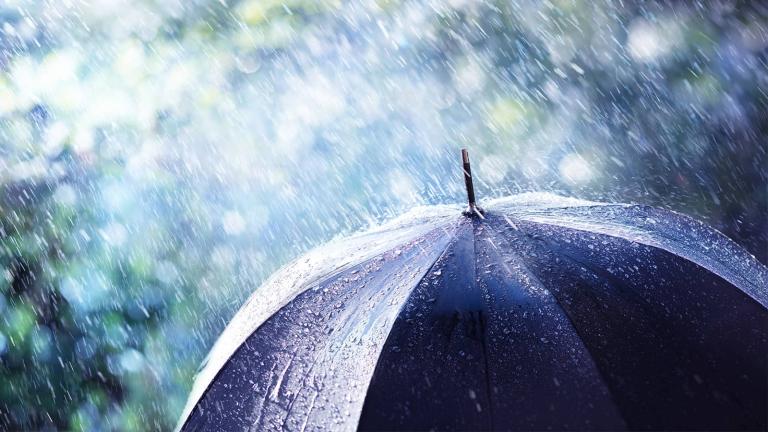 Rain falling on umbrella