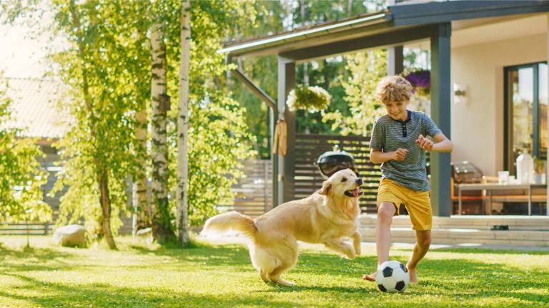 a boy playing soccer with a dog in a backyard