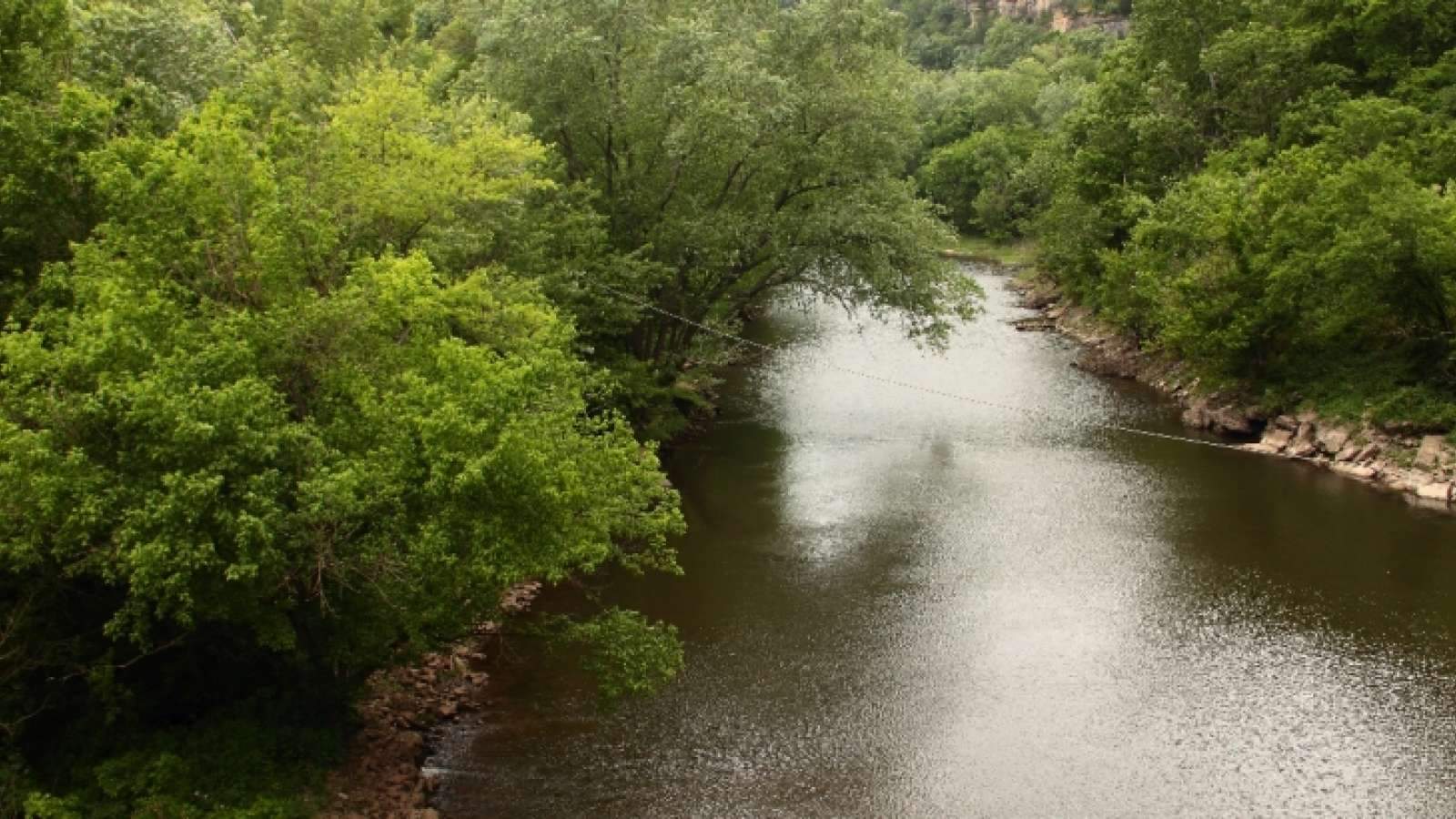 high view of river with trees along the banks