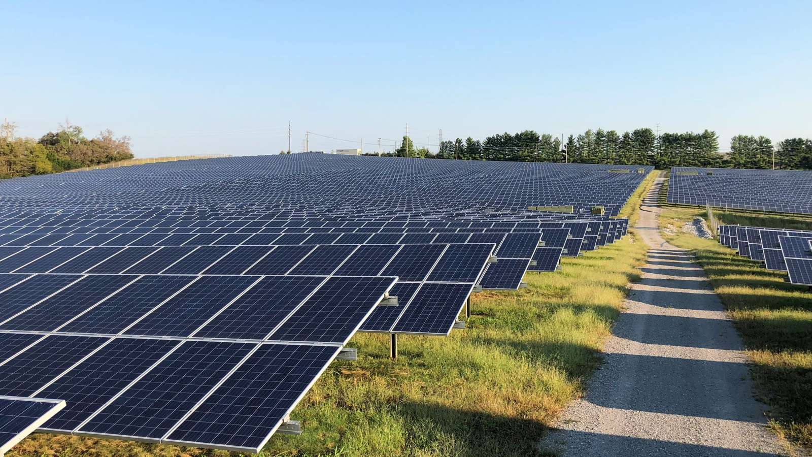 wide shot of solar array