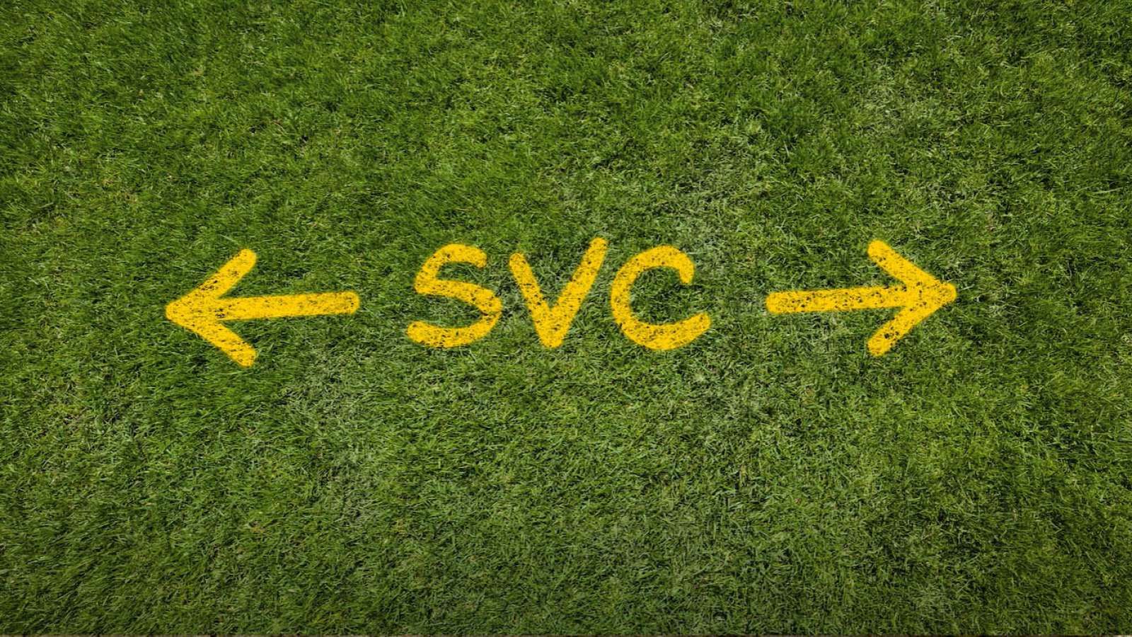arrows with "SVC" spray painted in yellow on grass