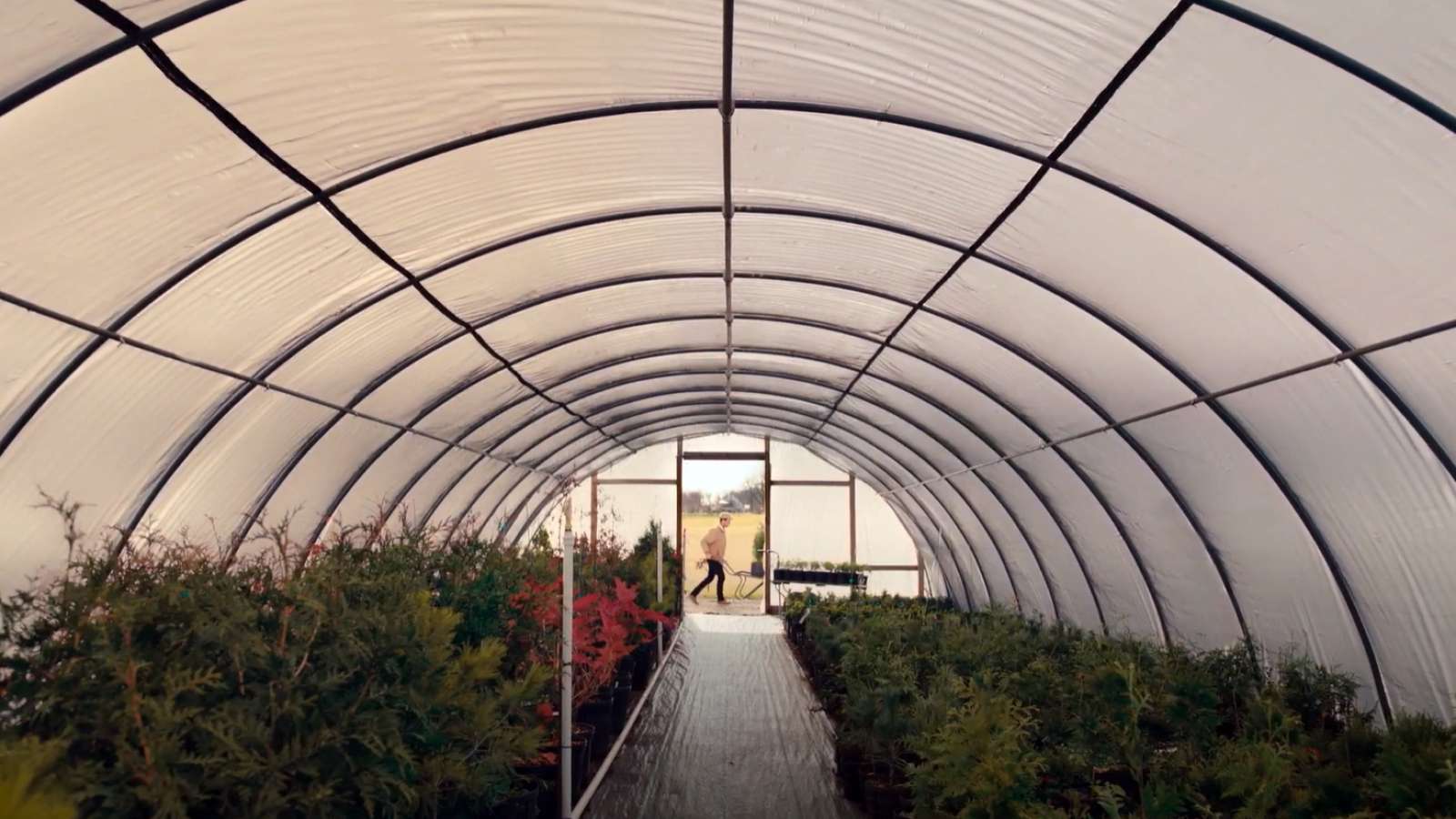 a greenhouse