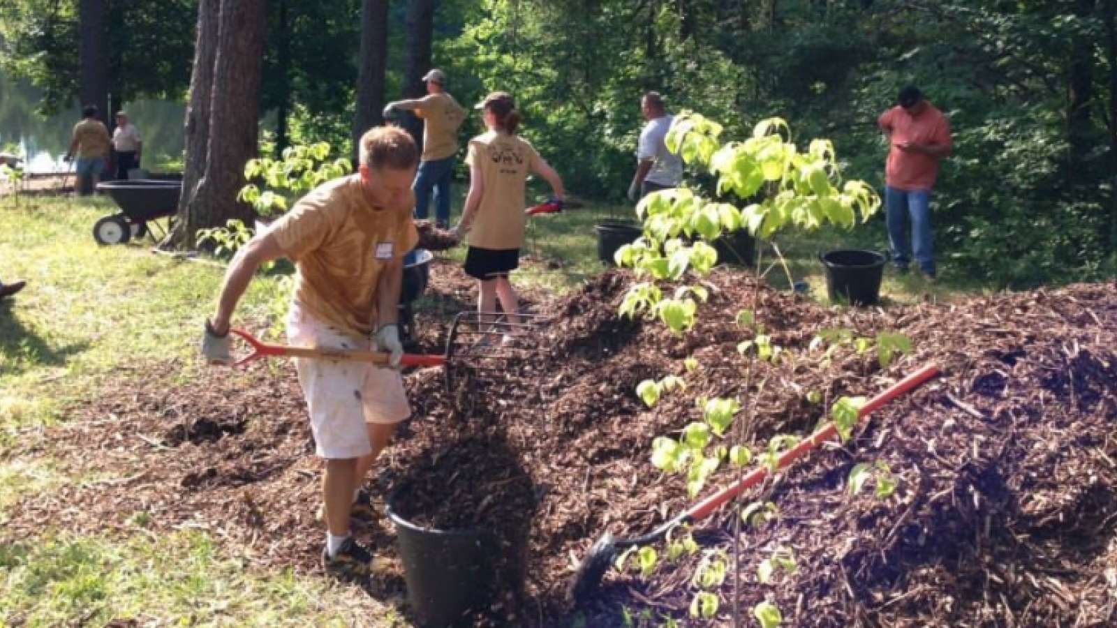 employees doing cleanup at a volunteer event
