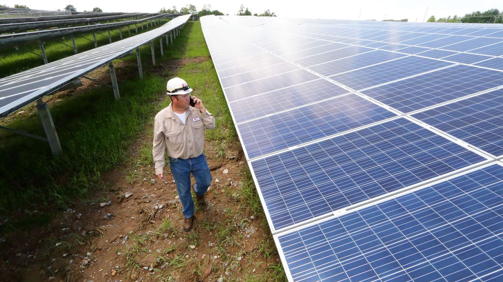 employee at E.W. Brown Solar facility on phone walking in between rows of panels