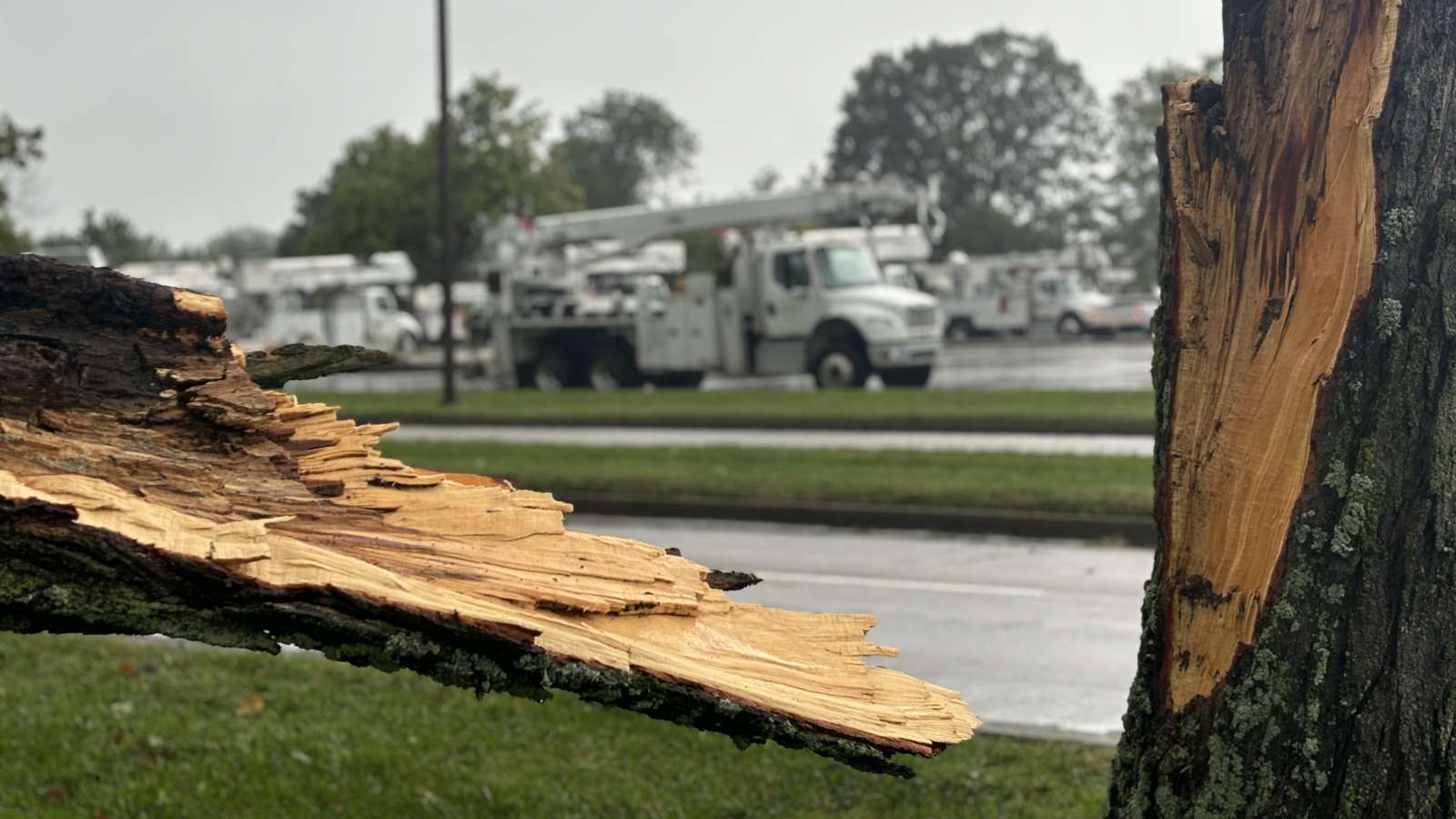 truck framed between parts of a broken tree
