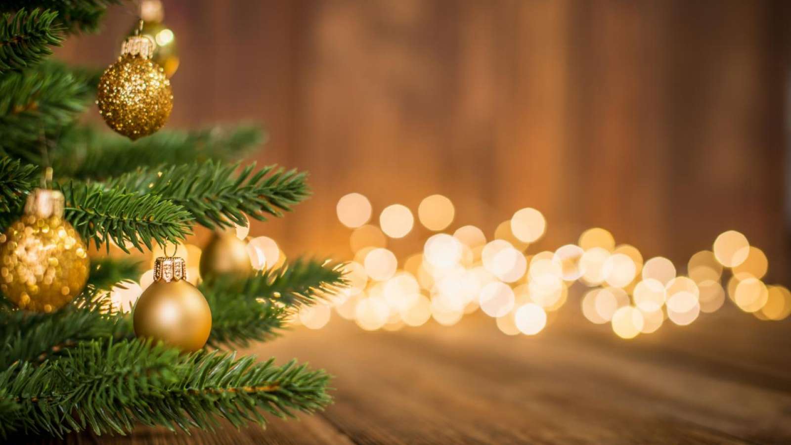 closeup of a Christmas tree with blurred lights in the background