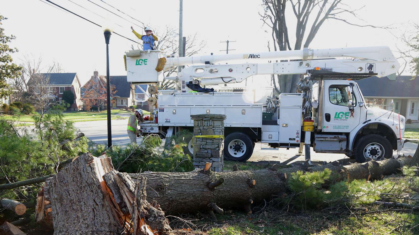bucket truck next to a downed tree