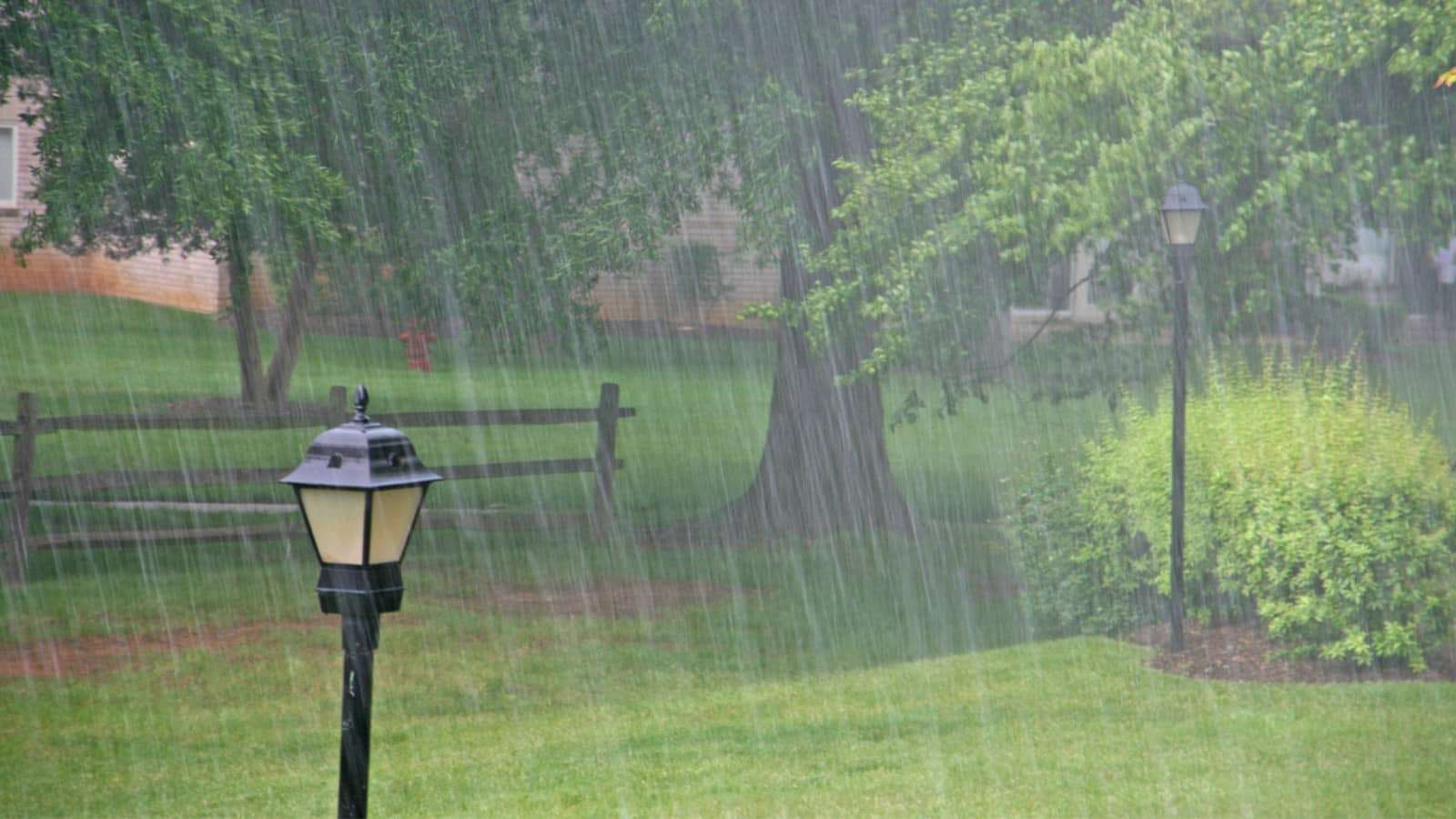 rain storm in a back yard