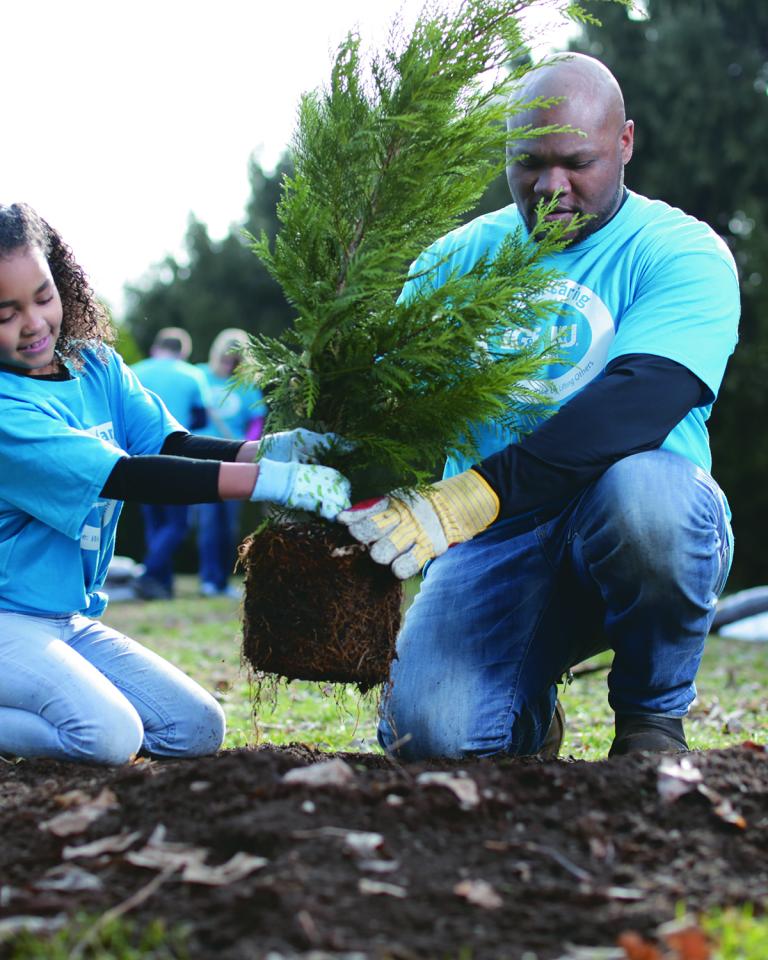 Planting trees