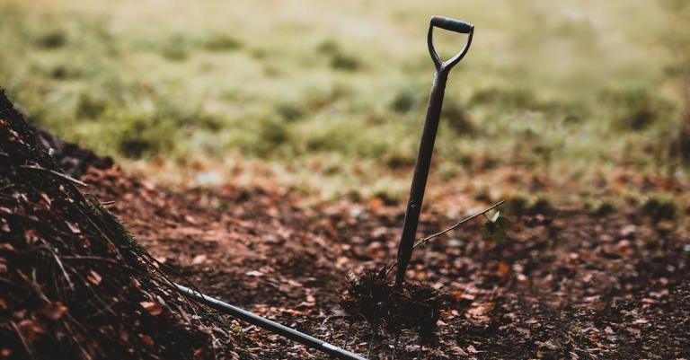 Shovel in the ground