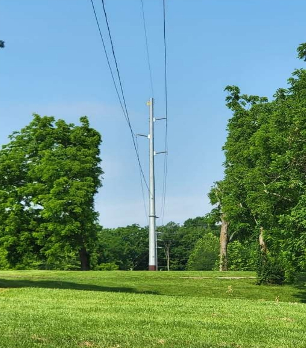 trees after clearance from transmission pole
